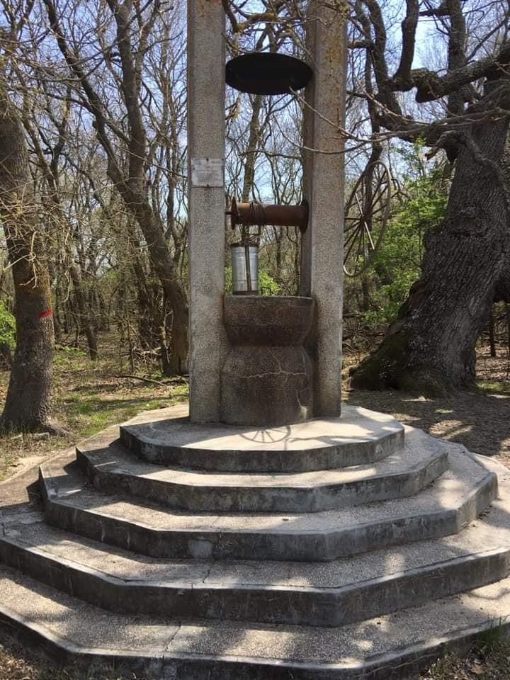 Locul unic din România unde poţi face safari. O atracție turistică cu aer curat şi peisaje de poveste 796078