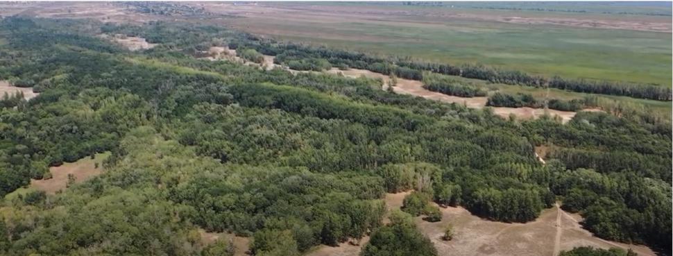 Locul unic din România unde poţi face safari. O atracție turistică cu aer curat şi peisaje de poveste 796084