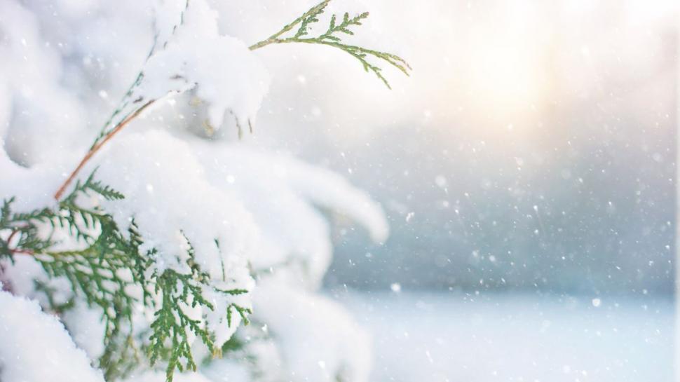 Prognoza Accuweather actualizată | Data la care va cădea prima ninsoare 796217