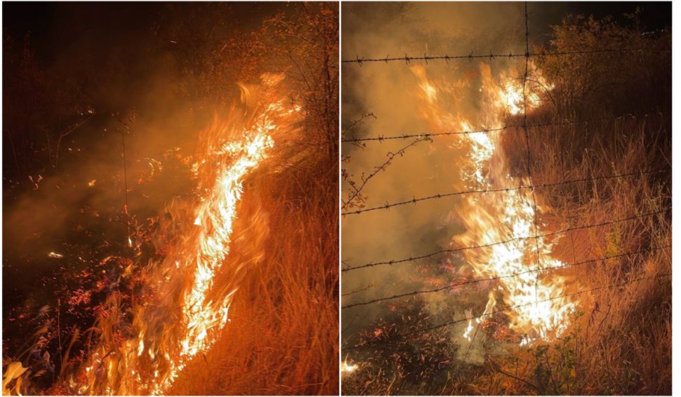 Incendiu violent în judeţul Prahova! 50 de hectare de vegetație ard la Tohani 