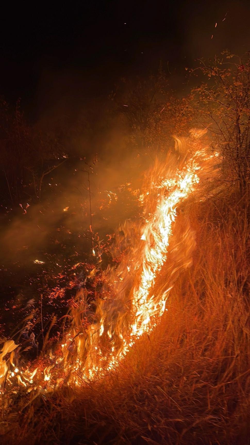 Incendiu violent în judeţul Prahova! 50 de hectare de vegetație ard la Tohani  796592