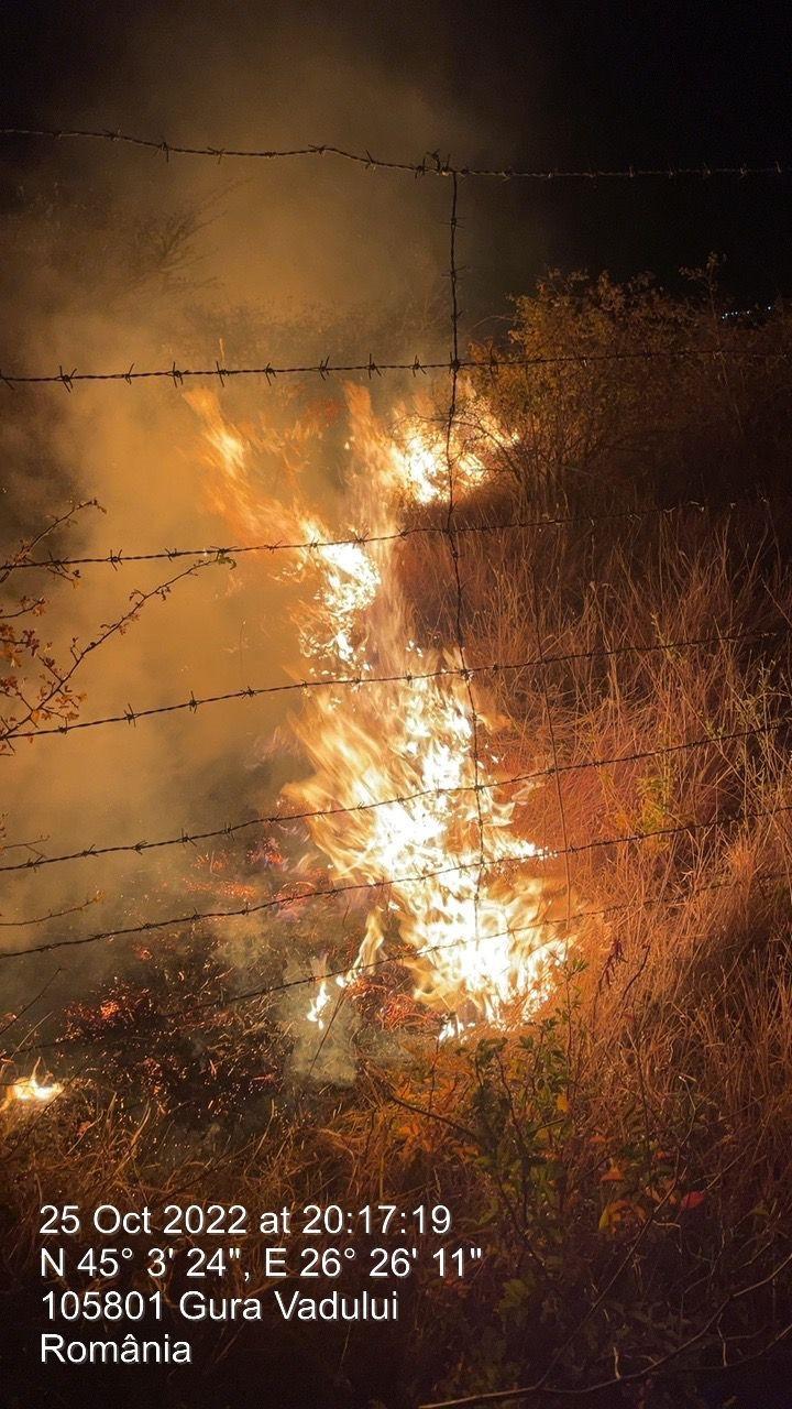 Incendiu violent în judeţul Prahova! 50 de hectare de vegetație ard la Tohani  796593