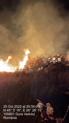 Incendiu violent în judeţul Prahova! 50 de hectare de vegetație ard la Tohani  796598