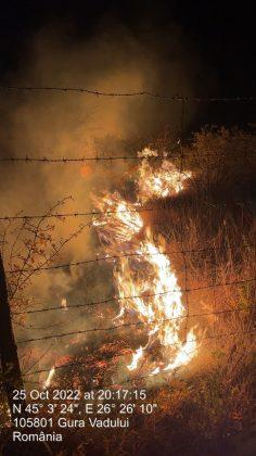 Incendiu violent în judeţul Prahova! 50 de hectare de vegetație ard la Tohani  796599