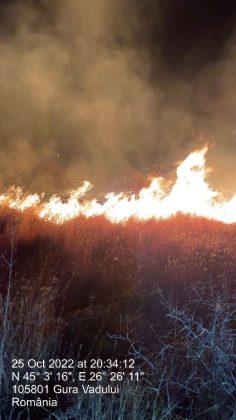 Incendiu violent în judeţul Prahova! 50 de hectare de vegetație ard la Tohani  796602