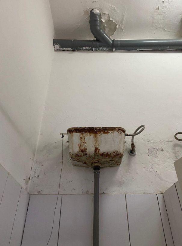 Sindicatul Europol prezintă imagini din grupurile sanitare ale Facultăţii de Jandarmi: "Scurgeri, infiltrații, igrasie, rugină, mizerie, mucegai" 796622