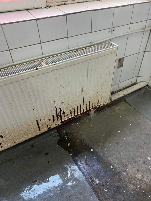 Sindicatul Europol prezintă imagini din grupurile sanitare ale Facultăţii de Jandarmi: "Scurgeri, infiltrații, igrasie, rugină, mizerie, mucegai" 796623