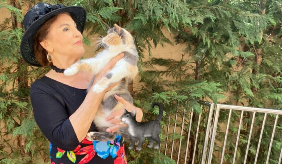 Irina Loghin, dieta care o întinereşte: "În sufletul meu, mă simt ca la 20 de ani" 796715