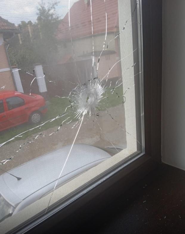 Gimnasta Mirela Frâncu, la un pas de moarte după ce un tânăr a tras cu o armă în geamurile casei: "Dacă eram în picioare, ne omora" 796998