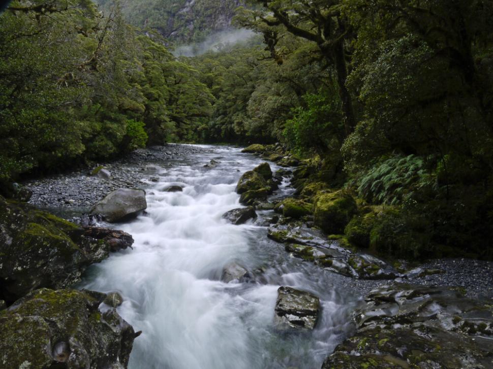 Salariu uriaş pentru un loc de muncă pe care nu-l vrea nimeni | Oferta de angajare s-a extins la nivel global  797466