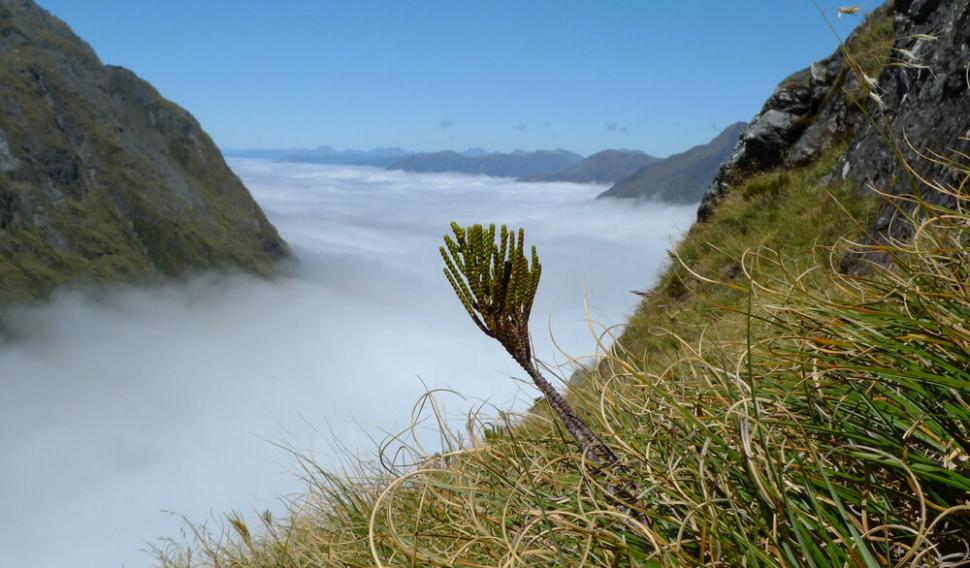 Salariu uriaş pentru un loc de muncă pe care nu-l vrea nimeni | Oferta de angajare s-a extins la nivel global  797467