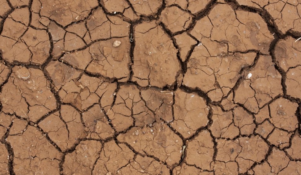 Suprafața afectată de secetă în România a depășit un milion de hectare de teren agricol. Lista celor mai afectate județe
