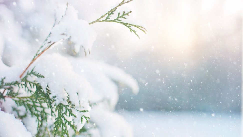 Directorul ANM, Elena Mateescu, anunță prima ninsoare în România: ”Strat consistent de zăpadă”