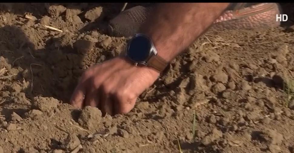 "Vara indiană" din România poate duce fermierii în faliment. Avertismentul experţilor 797886