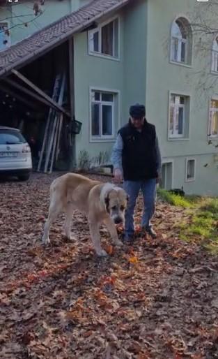 Batjocură pentru un bolnav cu cancer într-o secţie de poliţie din Sighişoara 798316