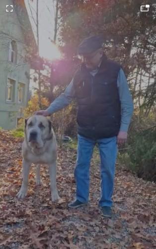 Batjocură pentru un bolnav cu cancer într-o secţie de poliţie din Sighişoara 798317