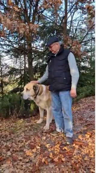 Batjocură pentru un bolnav cu cancer într-o secţie de poliţie din Sighişoara 798318