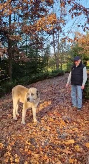 Batjocură pentru un bolnav cu cancer într-o secţie de poliţie din Sighişoara 798319