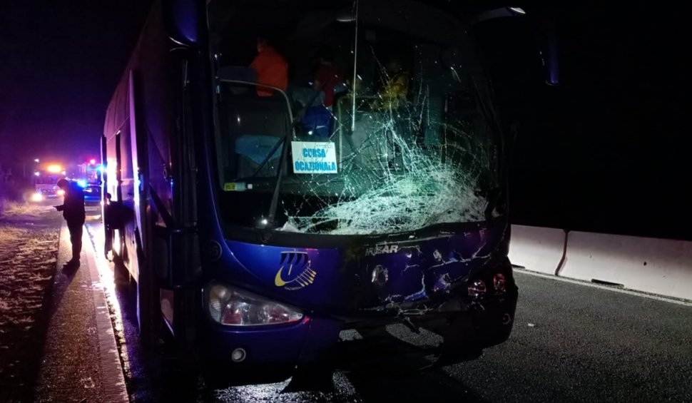 Taur lovit de un autobuz cu 48 de pasageri și de o mașină, pe DN1. Circulaţia, întreruptă pe sensul către București