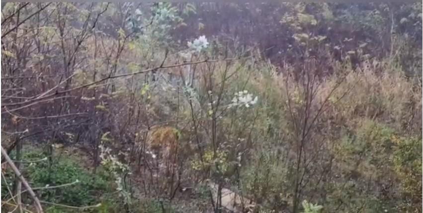 Cadavrul unui bărbat, găsit într-un canal de colectare a apelor din Baia Mare 798753