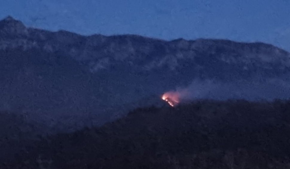 Incendiu de vegetație în pădurea din zona Moeciu. Pompierii intervin de urgență