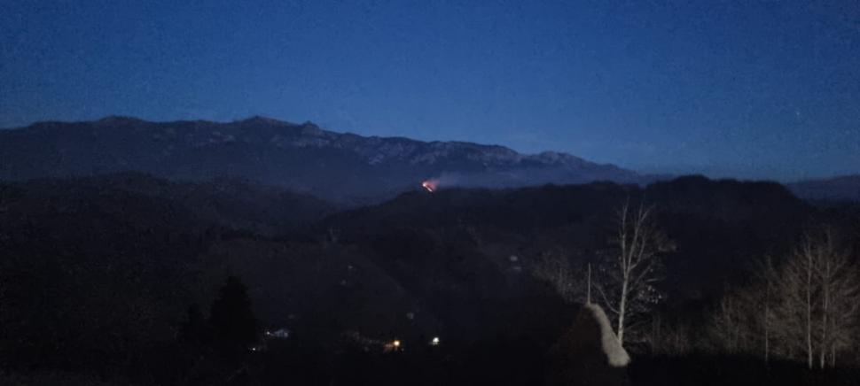 Incendiu de vegetație în pădurea din zona Moeciu. Pompierii intervin de urgență 799445
