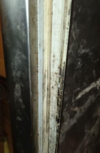 O brutărie din cartierul bucureştean Rahova a fost închisă temporar. Comisarii ANPC au găsit acolo insecte vii și moarte 800067