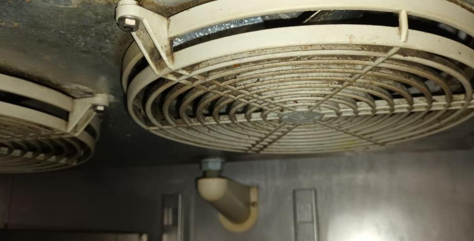 O brutărie din cartierul bucureştean Rahova a fost închisă temporar. Comisarii ANPC au găsit acolo insecte vii și moarte 800068