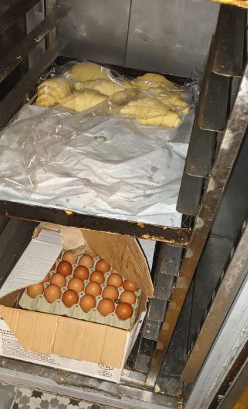 O brutărie din cartierul bucureştean Rahova a fost închisă temporar. Comisarii ANPC au găsit acolo insecte vii și moarte 800069