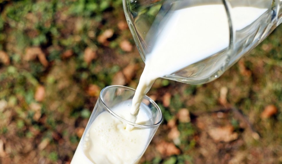  Legea laptelui şi a produselor lactate a fost promulgată. Reguli noi pentru fermieri, procesatori și comercianți