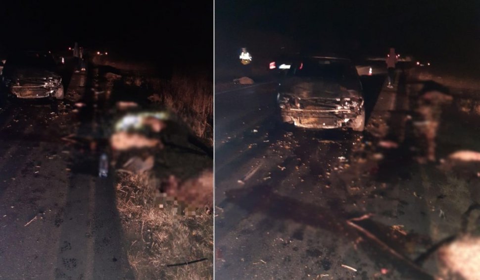 Un șofer a spulberat o turmă de oi | 14 animale au murit și două persoane au fost rănite, în Prahova