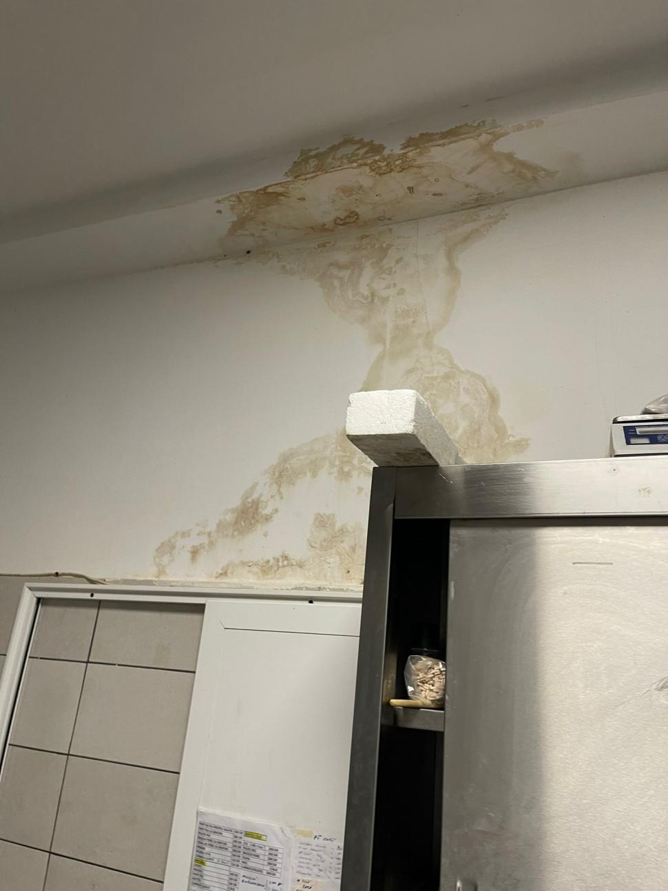 Produse expirate și gândaci, găsite într-un restaurant din Constanța de inspectorii de la Protecția Consumatorului 800885