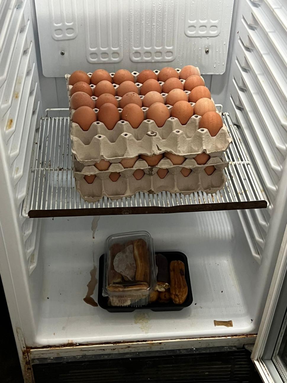 Produse expirate și gândaci, găsite într-un restaurant din Constanța de inspectorii de la Protecția Consumatorului 800886