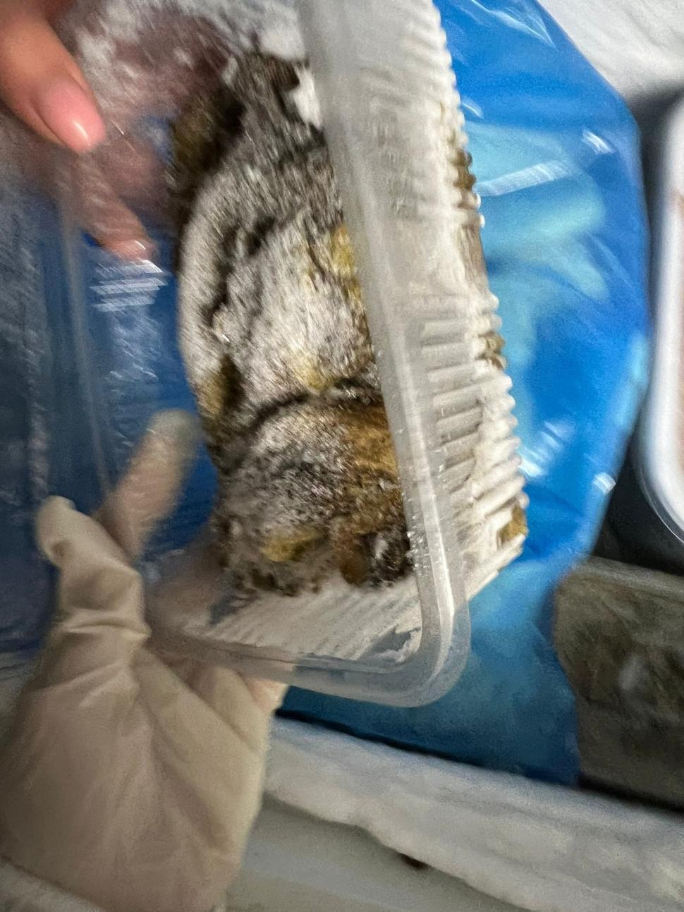 Produse expirate și gândaci, găsite într-un restaurant din Constanța de inspectorii de la Protecția Consumatorului 800887