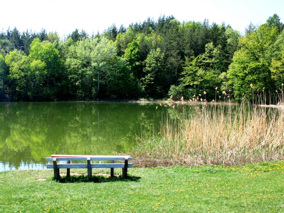 Drum de coşmar până la unul dintre cele mai frumoase lacuri din România 801042