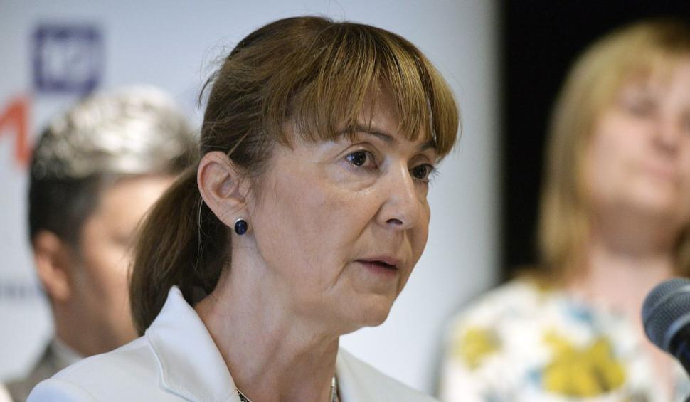 Noi informaţii din ancheta accidentului produs de Monica Macovei. Motivul pentru care ar putea scăpa basma curată 801018