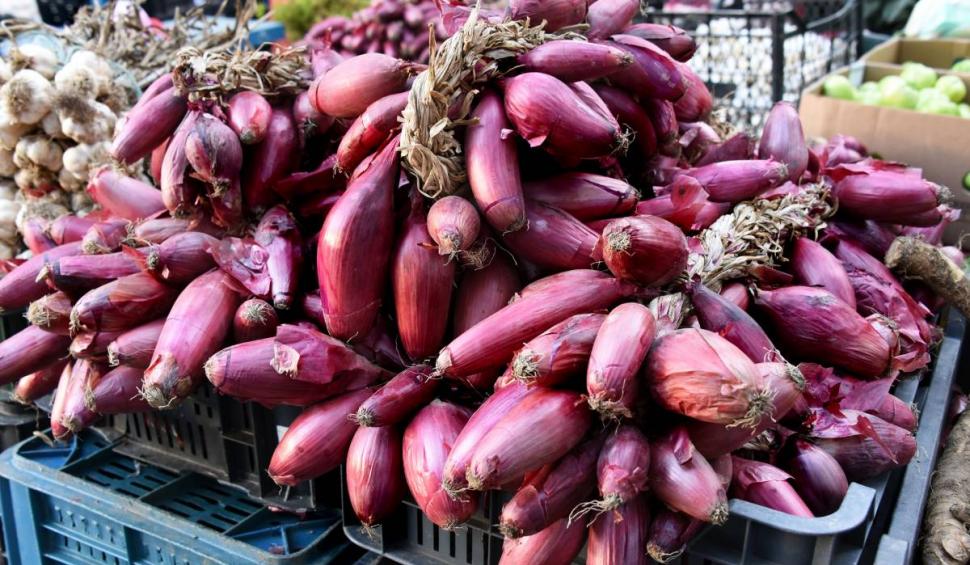 "Este ucigaşul infecţiilor". Lidia Fecioru: "Această legumă face minuni, e verificat de mine, e miraculoasă" 803722