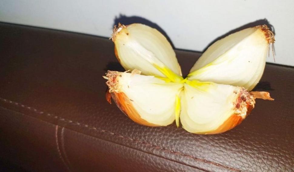 "Este ucigaşul infecţiilor". Lidia Fecioru: "Această legumă face minuni, e verificat de mine, e miraculoasă" 803727