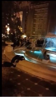 Un bărbat a ajuns direct la psihiatrie, după ce s-a bălăcit într-o fântână proaspăt reabilitată din Timişoara 801115