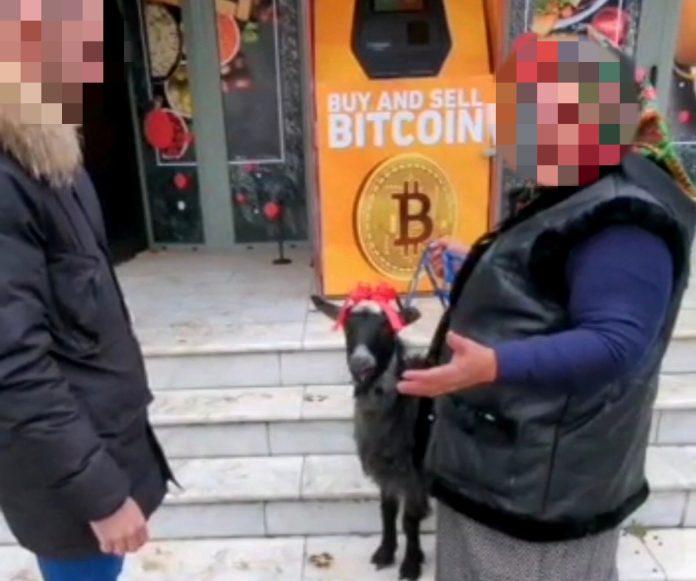 Capră scoasă la vânzare pe bitcoin de o pensionară din Focşani: "Vreau să fac o combinaţie. Dacă nu, îl sun pe Elon Musk" 801714