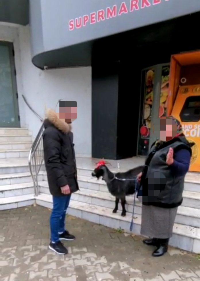 Capră scoasă la vânzare pe bitcoin de o pensionară din Focşani: "Vreau să fac o combinaţie. Dacă nu, îl sun pe Elon Musk" 801715