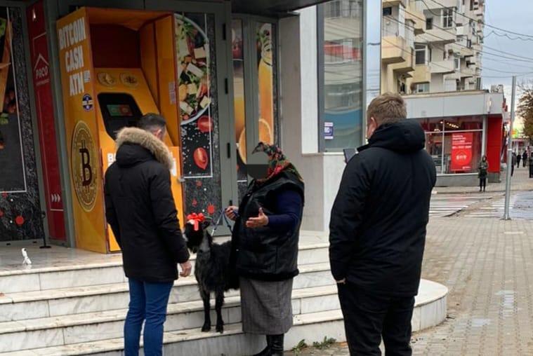 Capră scoasă la vânzare pe bitcoin de o pensionară din Focşani: "Vreau să fac o combinaţie. Dacă nu, îl sun pe Elon Musk" 801716