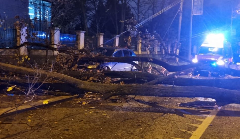 Copac căzut peste un bărbat, în fața clădirii Jandarmeriei Române din București. Arborele a blocat trotuarul și ambele sensuri de mers