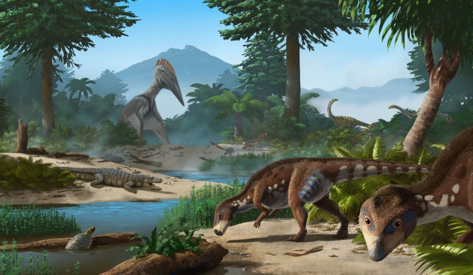 O nouă specie de dinozaur, "reptila cu cap turtit din Transilvania", descoperită în Țara Hațegului