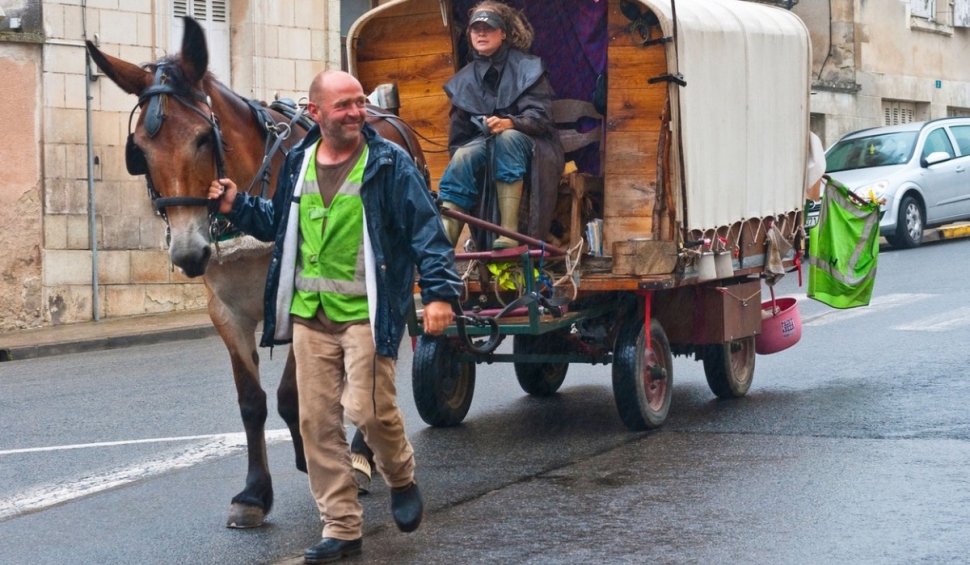 Caii au ajuns să înlocuiască mașinile, în micile oraşe din Franţa. Sunt folosiţi de serviciile de salubritate, dar şi de şcoli