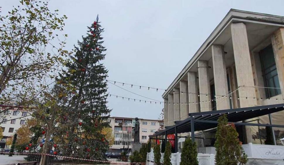 Val de ironii la adresa unui brad de Crăciun. Orașul în care a fost instalat "bradul din Pisa" 802877