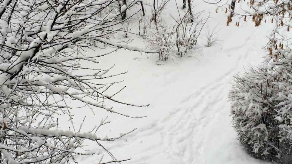 Vreme extremă în România, val de aer tropical în miezul iernii | Prognoza meteo ANM pentru decembrie 803085