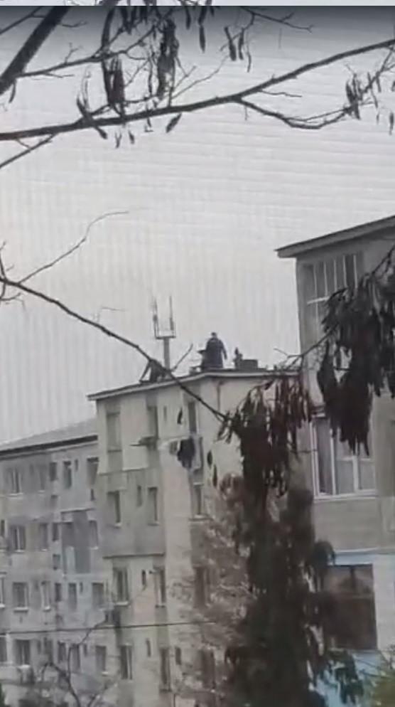 Români surprinşi când taie porcul pe bloc, la Baia Mare. Tot la înălţime l-au şi pârlit 803343