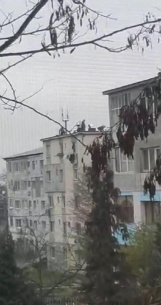 Români surprinşi când taie porcul pe bloc, la Baia Mare. Tot la înălţime l-au şi pârlit 803344