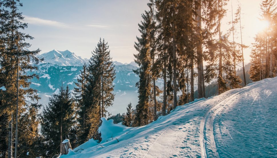 România are 218 pârtii de schi omologate. Însumează cât o singură staţiune din Franţa sau Elveția